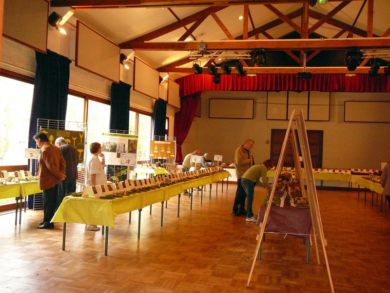 2012 Expo Gazeran (5)